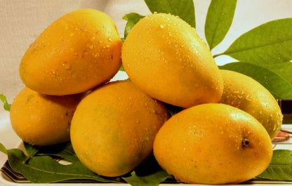Imam Pasand/ Himayat (Big box ~ 4 Kg)